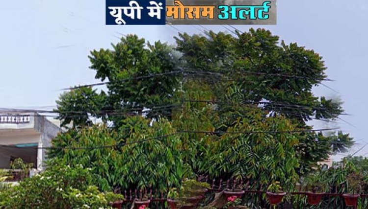 उत्तर प्रदेश में मौसम अलर्ट : रविवार को 21 जिलों में बारिश का यलो और रेड अलर्ट जारी, 30 मई तक ऐसा ही रहेगा मौसम