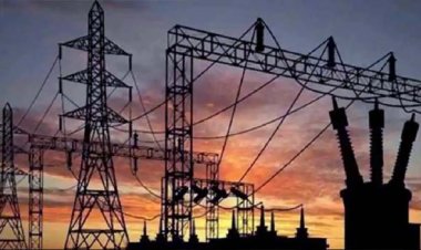 बिजली निगमों में निदेशक के 12 पदों पर नियुक्तियां जल्द, पावर कॉर्पोरेशन को दिए निर्देश